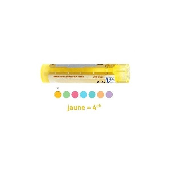 comment prendre ignatia amara