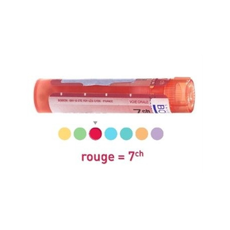 Nerf Parasympathique dose, granules, gouttes Boiron 4CH, 5CH, 7CH, 9CH, 12CH, 15CH, 30CH, 8DH