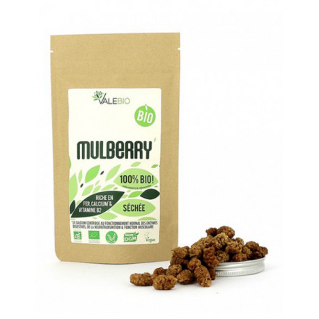 Mulberry Bio 120g Valebio