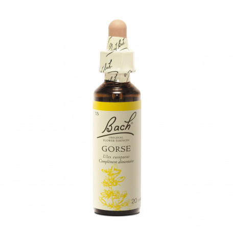 GORSE Fleur de Bach Original