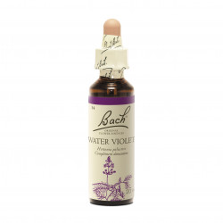 WATER VIOLET  Fleur de Bach Original