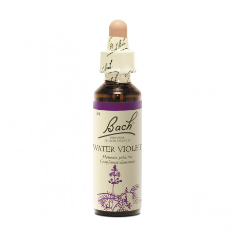 WATER VIOLET  Fleur de Bach Original