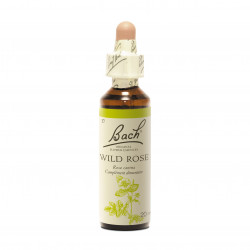 WILD ROSE Fleur de Bach Original