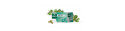 Anis Vert Infusion 24 sachets Mediflor