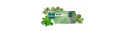 Menthe Infusion Mediflor