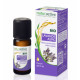 Lavande Aspic Huile Essentielle Bio 10 ml Naturactive