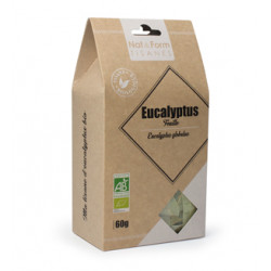 Eucalyptus Bio Tisane Nat&Form