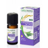 Citronnelle de Java Huile Essentielle Bio 10 ml Naturactive Citronnelle de Java Huile Essentielle Bio 10 ml Naturactive