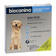 Insectifuge naturel Chien spot on Biocanina aux huiles essentielles