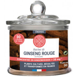 Ginseng Rouge poudre