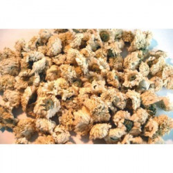 Camomille romaine fleurs 25g vrac Cooper 