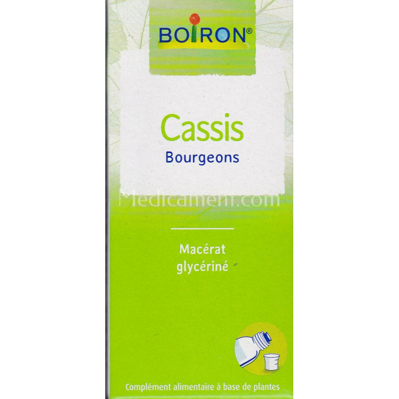 Cassis Bourgeons Macérat glycériné 1 DH Boiron extrait..