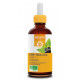 EPB Ribes Bio Articulation Weleda