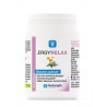 Ergyrelax Gélule Nutergia