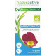 Harpagophyton BIO Gélules Naturactive 30 jours