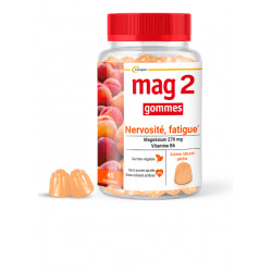 Mag 2 Gommes Magnésium Vitamine B6 Nervosité et fatigue