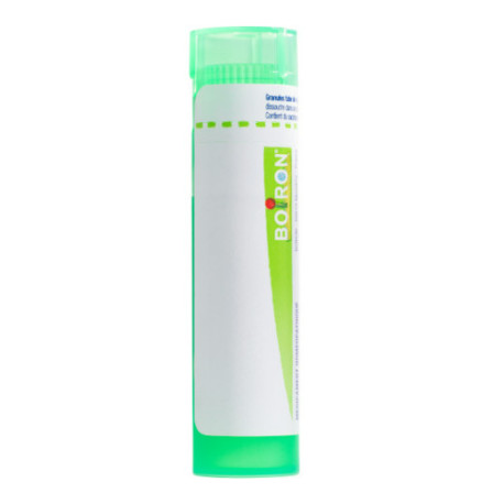Geum urbanum granules Boiron 5CH
