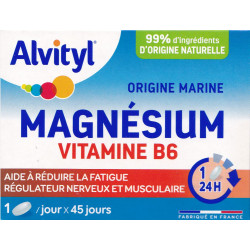 Alvityl Magnésium Vitamine B6 b45
