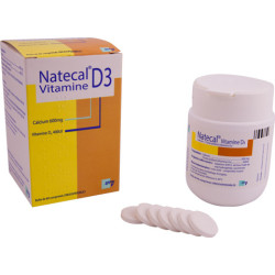 Natecal Vitamine D3 600 mg/400 UI Comprimés orodispersibles