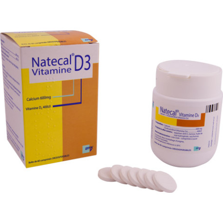 Natecal Vitamine D3 600 mg/400 UI Comprimés orodispersibles