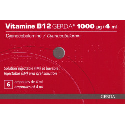 Vitamine B12 GERDA 1000 µg / 4 ml Ampoule x6