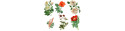 Hibiscus Karkade Fleurs 75g ADP