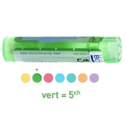 Actaea Racemosa dose, granules Boiron 4CH, 5CH, 7CH, 9CH, 12CH, 15CH, 30CH, 200K, 1MK