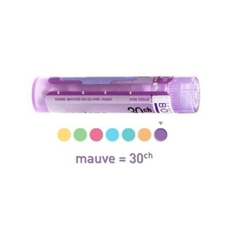 Colocynthis Dose Boiron 4ch 5ch 7ch 9ch 12ch 15ch 30ch