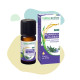 Romarin officinal à 1,8-cinéole BIO Naturactive