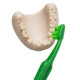 Brosse à dents TePe GOOD Regular Souple