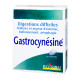 Gastrocynésine 60 Comprimés Boiron