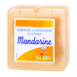 Mandarine Pâtes à sucer Boiron