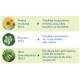 ARNITROSIUM 120 Comprimés Boiron formule