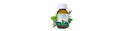 Solution pour inhalation Naturactive 45 ml