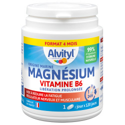 Alvityl Magnésium Vitamine B6 b120