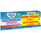Alvityl Magnésium Vitamine B6 lot2 LP