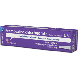 Pramocaïne chlorhydrate 1 % Gel Biogaran Conseil