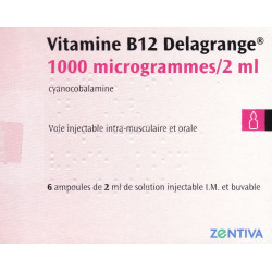 Vitamine B12 Delagrange 1000 µg / 2 ml Ampoule x6