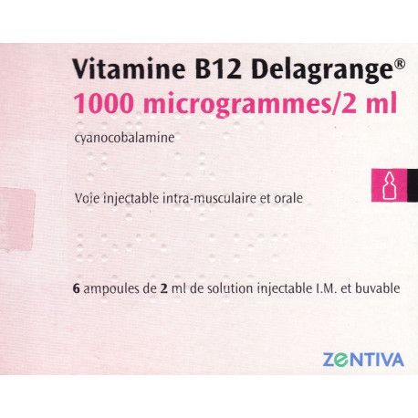 Vitamine B12 Delagrange 1000 µg / 2 ml Ampoule x6