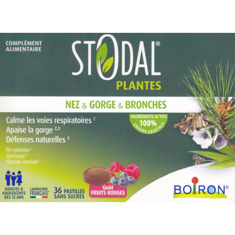 STODAL Plantes Nez & Gorge & Bronches 36 Pastilles Boiron FRUITS ROUGES