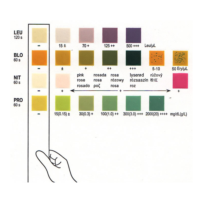 Medisur Autotest Infection Urinaire AutoDiagnostic Cystite