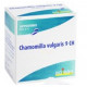 Chamomilla vulgaris 9 CH suppositoires Boiron 