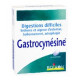 Gastrocynesine comprimés Boiron