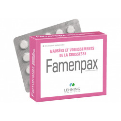 Famenpax Nausées et vomissements de la Grossesse Lehning