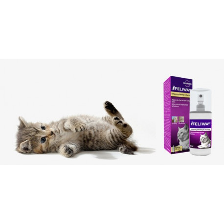 Feliway spray : favorise le bien-être du chat et diminue le stress