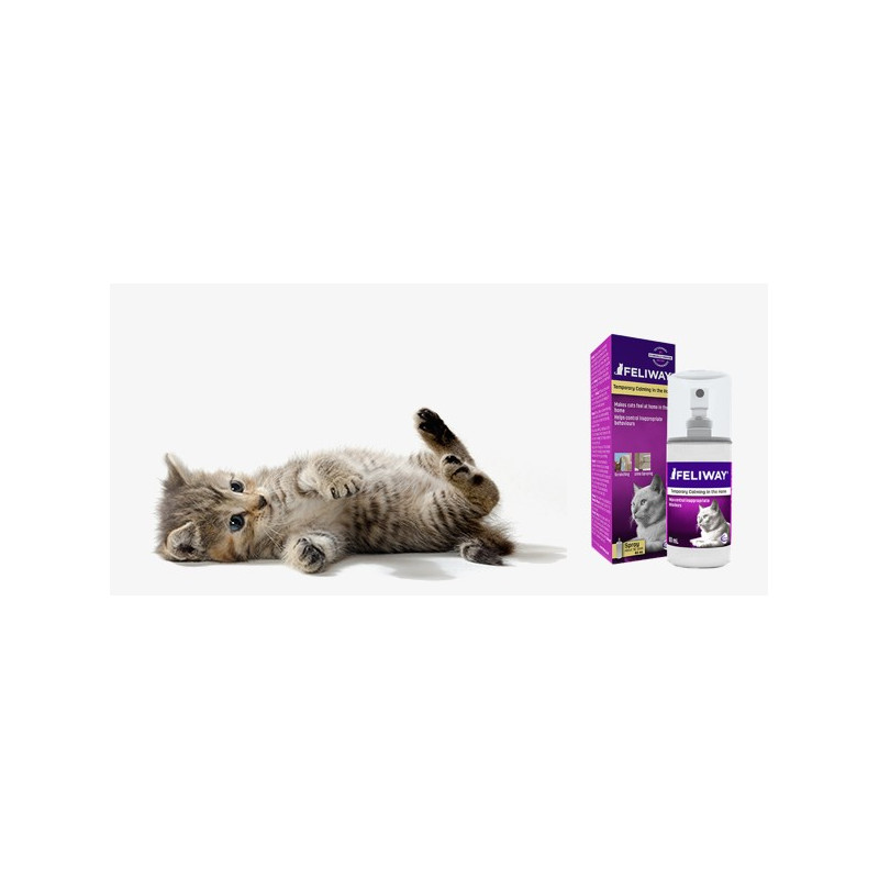 Feliway spray : favorise le bien-être du chat et diminue le stress