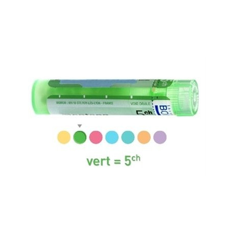 ORTHOSIPHON dose, granules Boiron 4CH, 5CH, 7CH, 9CH, 12CH, 15CH, 30CH, 4 DH