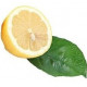 Citron Huile Essentielle Bio 10 ml Comptoir Aroma