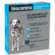 Collier insecticide Biocanipro pour chien