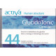 Activa 44  Glucidotonic Controle 60 gelules
